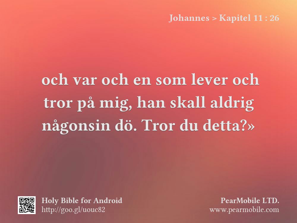 Johannes, Kapitel 11:26